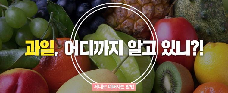 과일, 어디까지 알고 있니?!