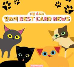 11월 4주차 잇츠미 BEST CARD NEWS