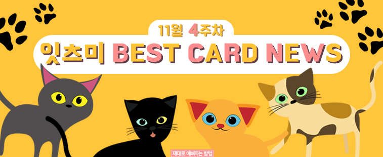 11월 4주차 잇츠미 BEST CARD NEWS