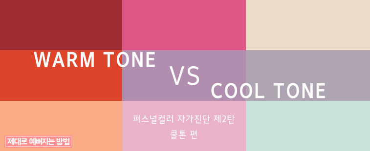 WARM TONE vs COOL TONE - 쿨톤 편