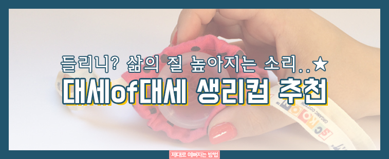 생리컵 제품 추천