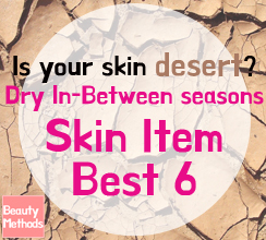 Dry In-Between seasons Skin Item BEST6!